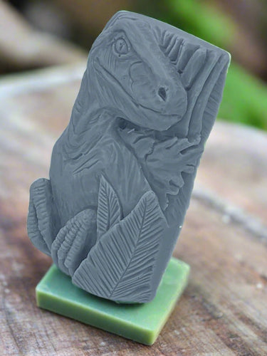 Dinosaur Soap